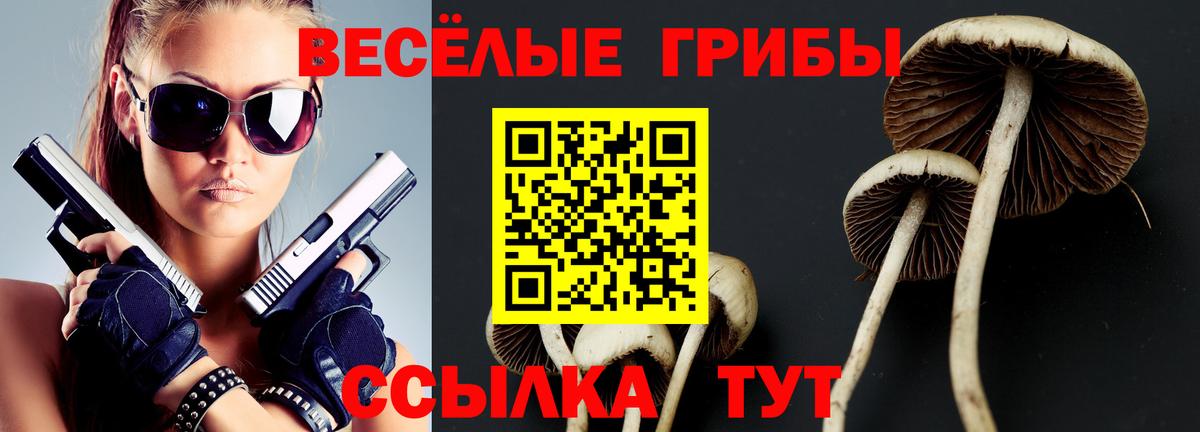 Сосновоборск  Галлюциногенные грибы MAGIC MUSHROOMS  Вход с VPN 
